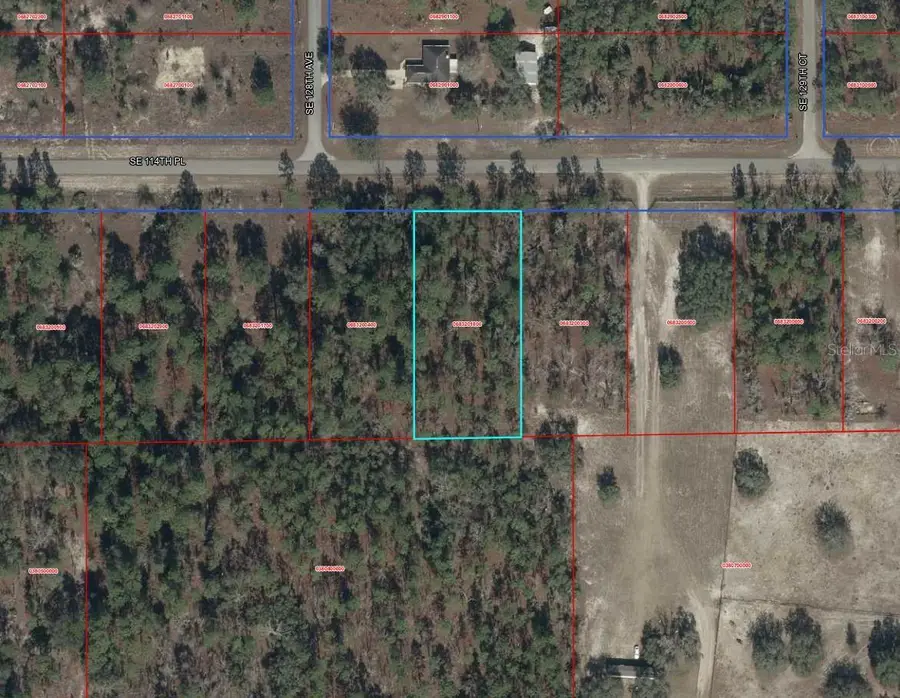 00000 SE 114th Place, Dunnellon, FL 34431 - #2