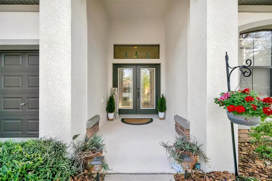 15616 Starling Water Drive, Lithia, FL 33547 - #3