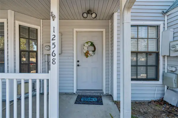 12568 Castle Hill Drive, TAMPA, FL 33624