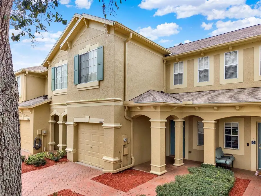 17442 Stinchar Drive, Land O Lakes, FL 34638 - #2