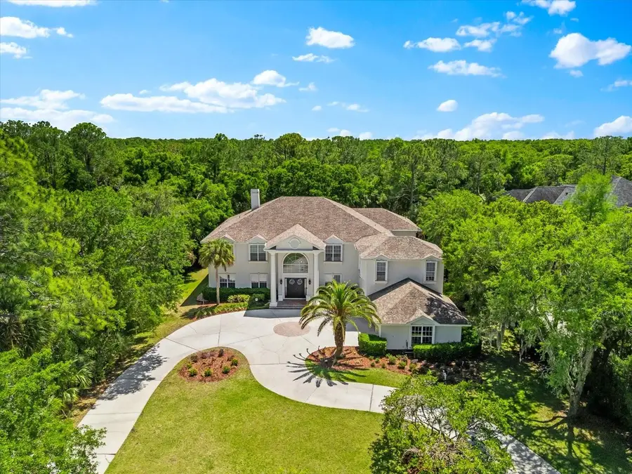 6413 Maclaurin Drive, Tampa, FL 33647 - #2