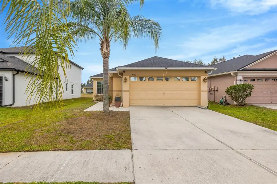 31228 Masena Drive, Wesley Chapel, FL 33545 - #2