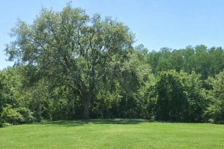 0 Via Segovia, New Port Richey, FL 34655 - #2