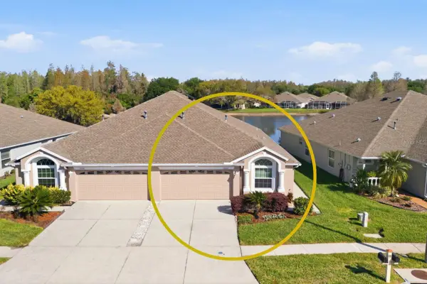 19305 Gophertrail Place, LAND O LAKES, FL 34638