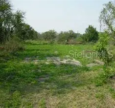 5224 Clarence Gordon Junior Road, Plant City, FL 33567 - #3