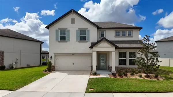 31030 Parrot Reef Court, WESLEY CHAPEL, FL 33545