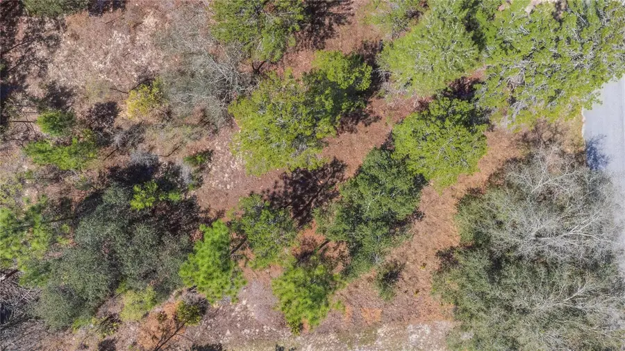 6 Heuchera Court E, Homosassa, FL 34446 - #3