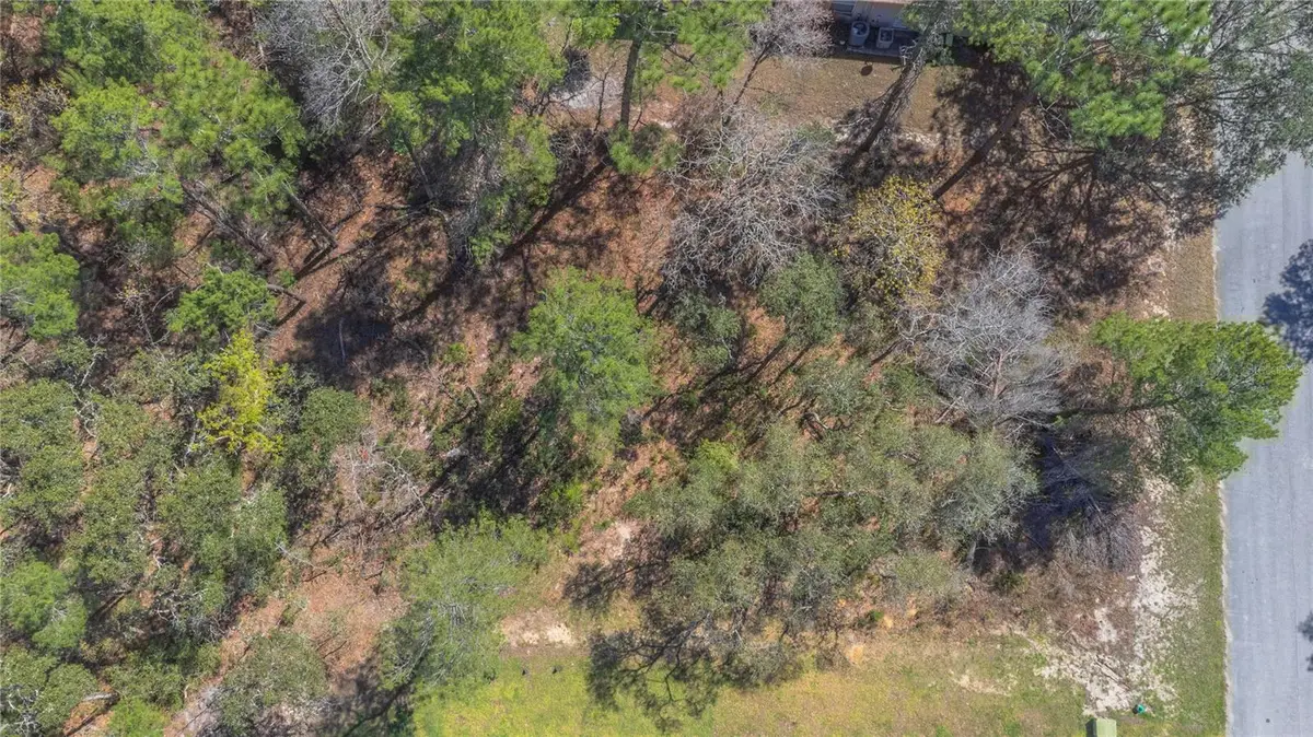 16 Iberis Court, Homosassa, FL 34446 - #1