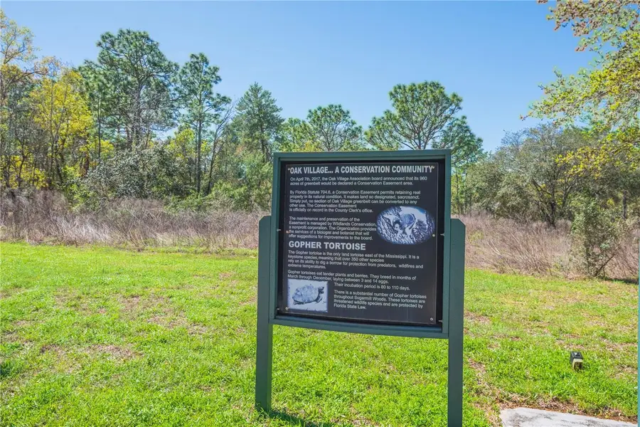 16 Iberis Court, Homosassa, FL 34446 - #2