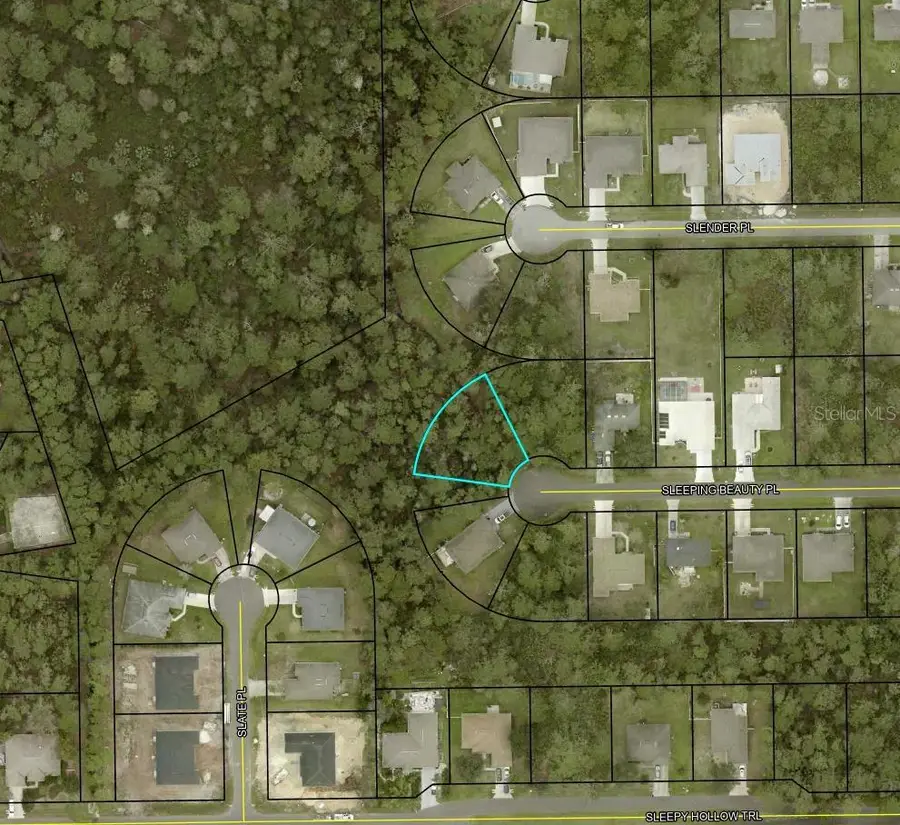 16 Sleeping Beauty Place, Palm Coast, FL 32164 - #3