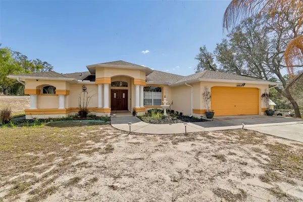 16402 Fringe Tree Drive, SPRING HILL, FL 34610