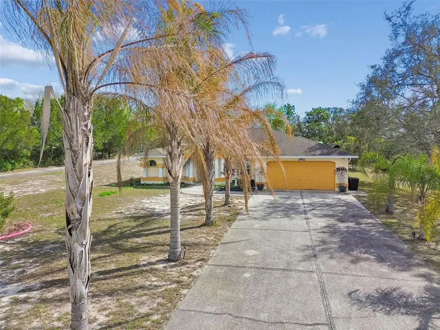 16402 Fringe Tree Drive, Spring Hill, FL 34610 - #3