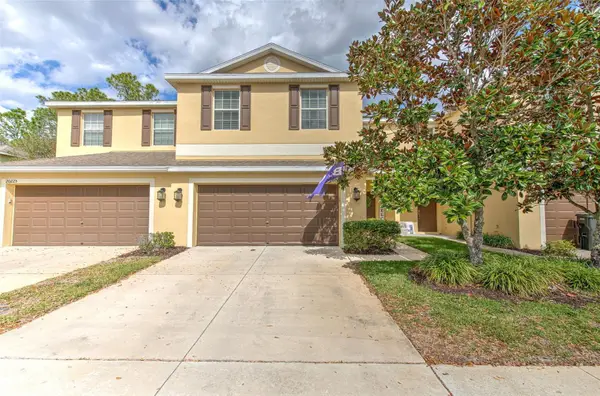 20223 Indian Rosewood Drive, TAMPA, FL 33647