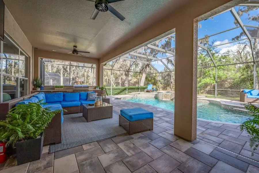 15912 Ternglade Drive, Lithia, FL 33547 - #2