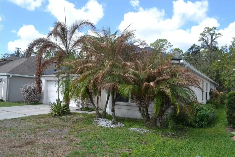 27353 Edenfield Drive, Wesley Chapel, FL 33544 - #3