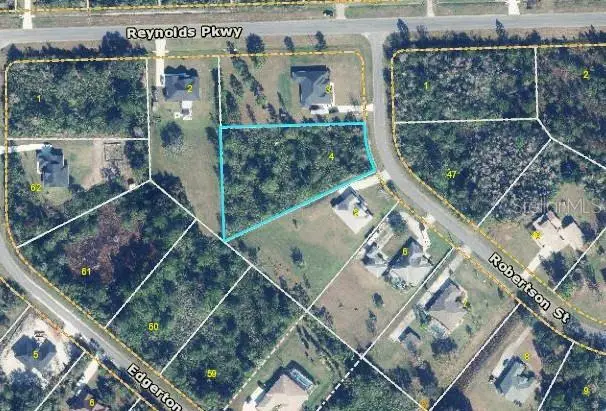 18118 Robertson Street, Orlando, FL 32833 - #2