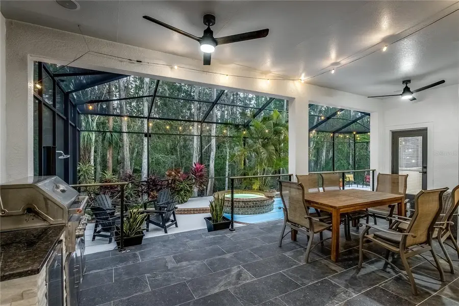 12116 San Chaliford Court, Tampa, FL 33626 - #2