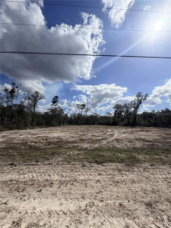 163 NE 159th Avenue, OLD TOWN, FL 32680