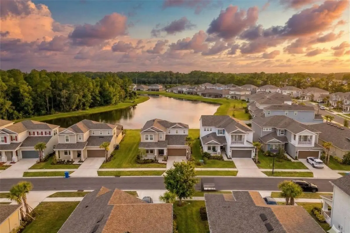 33555 Mainstay Lane, Wesley Chapel, FL 33543 - #1