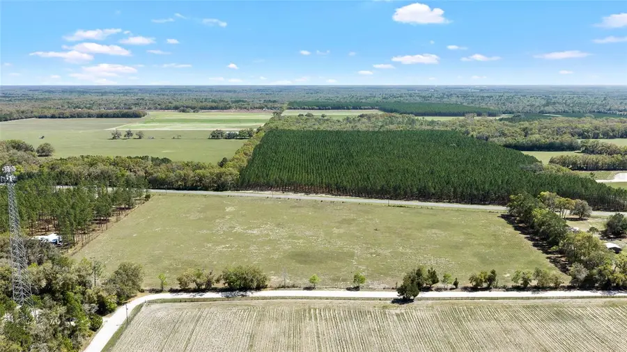 300 NE 708 Avenue, Old Town, FL 32680 - #2