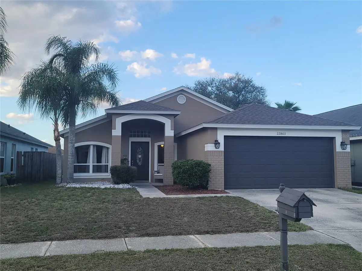 22803 Richardson Lane, Land O Lakes, FL 34639 - #1
