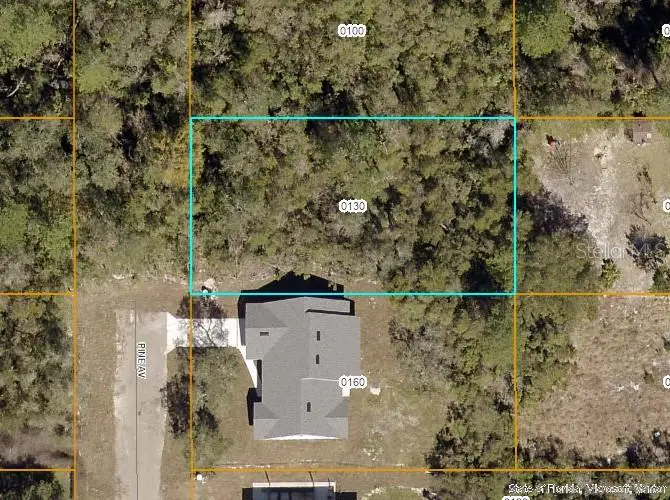 000 Pine Avenue, Orange City, FL 32763 - #2