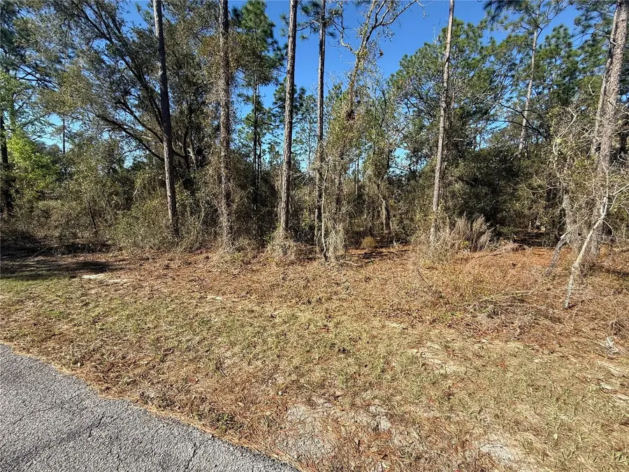 Lot 13 SE 129 Court, Dunnellon, FL 34431 - #3