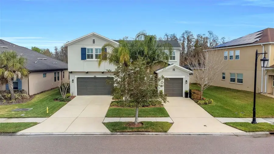 29494 Picana Lane, Wesley Chapel, FL 33543 - #2