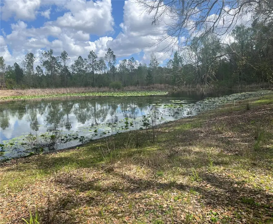 Sr 471, Webster, FL 33597 - #2