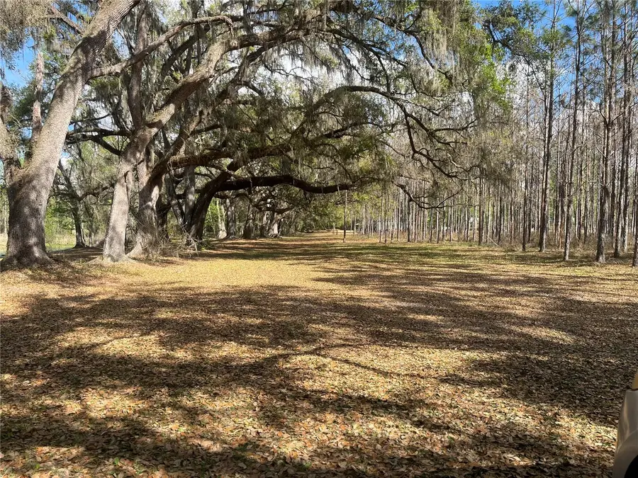 Sr 471, Webster, FL 33597 - #3