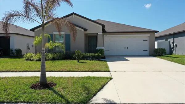 10313 Scarlet Skimmer Drive, RIVERVIEW, FL 33578