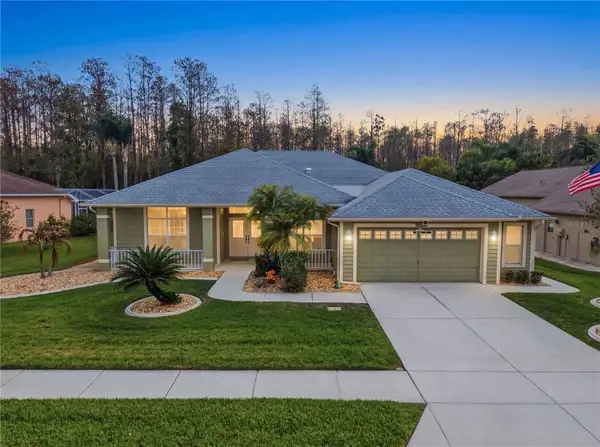 1031 Maravista Drive, TRINITY, FL 34655