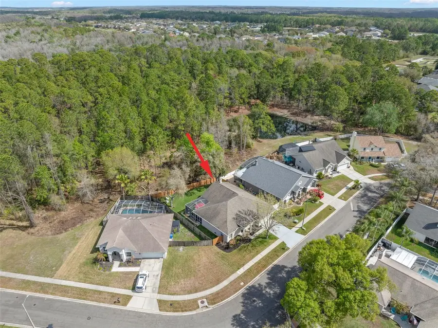 18536 Otterwood Avenue, Tampa, FL 33647 - #2