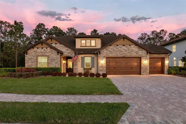 29256 Picana Lane, WESLEY CHAPEL, FL 33543