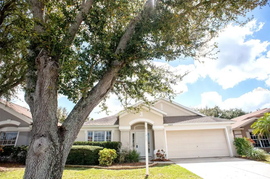 10620 Egret Haven Lane, Riverview, FL 33578 - #3