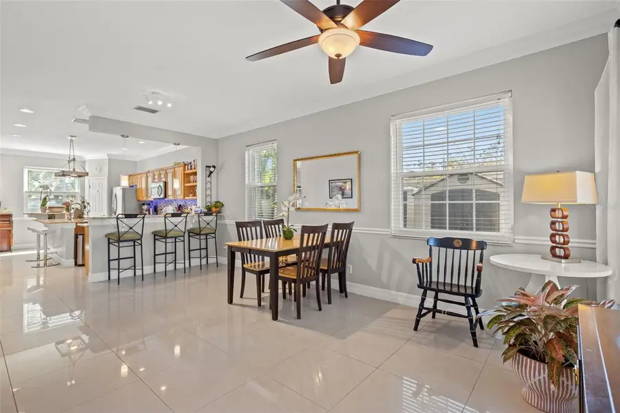 1804 W Erna Drive, Tampa, FL 33603 - #3