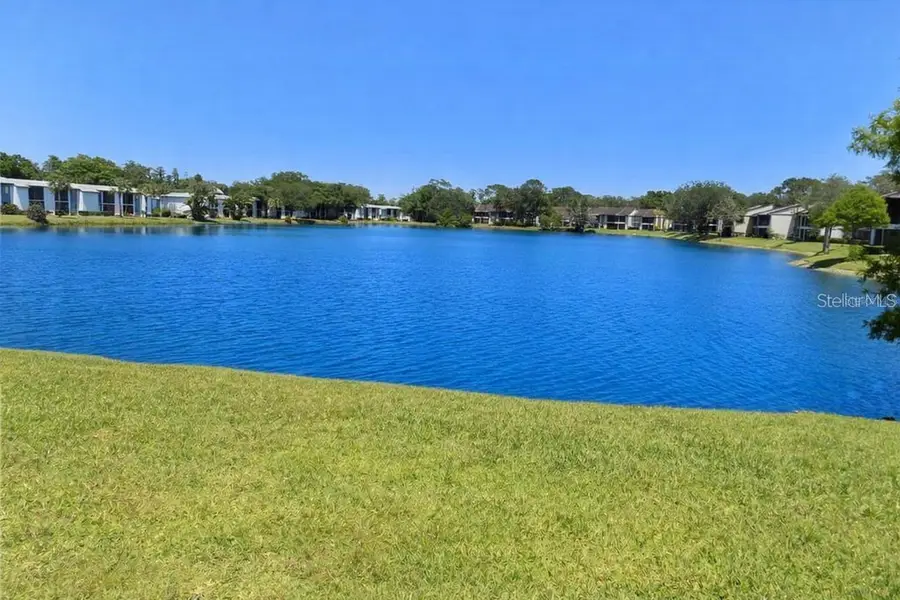 303 Woodlake Wynde, Oldsmar, FL 34677 - #2