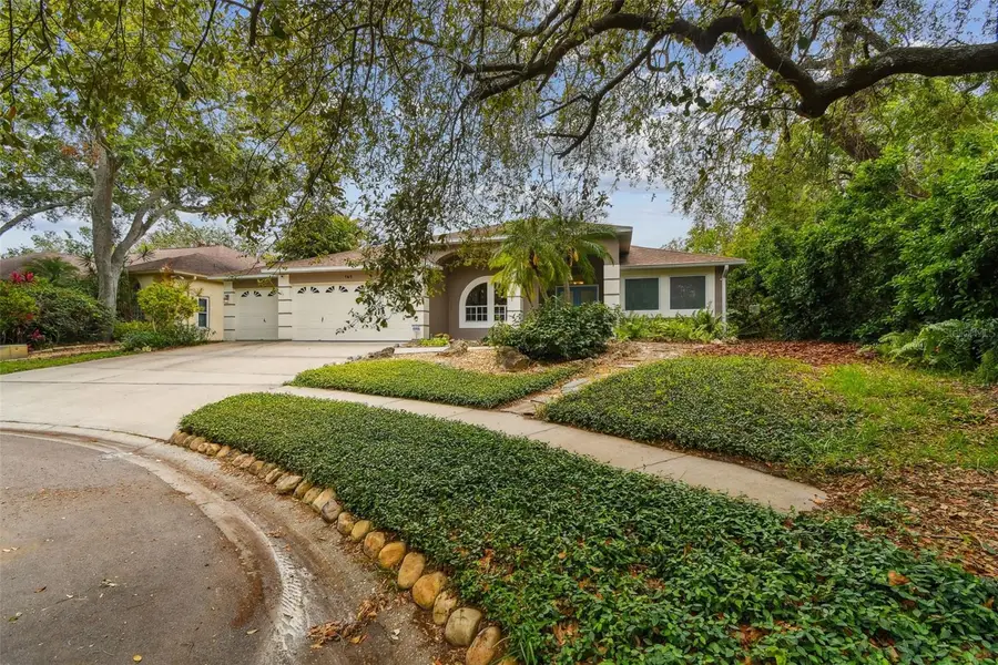 160 Sage Circle, Crystal Beach, FL 34681 - #2