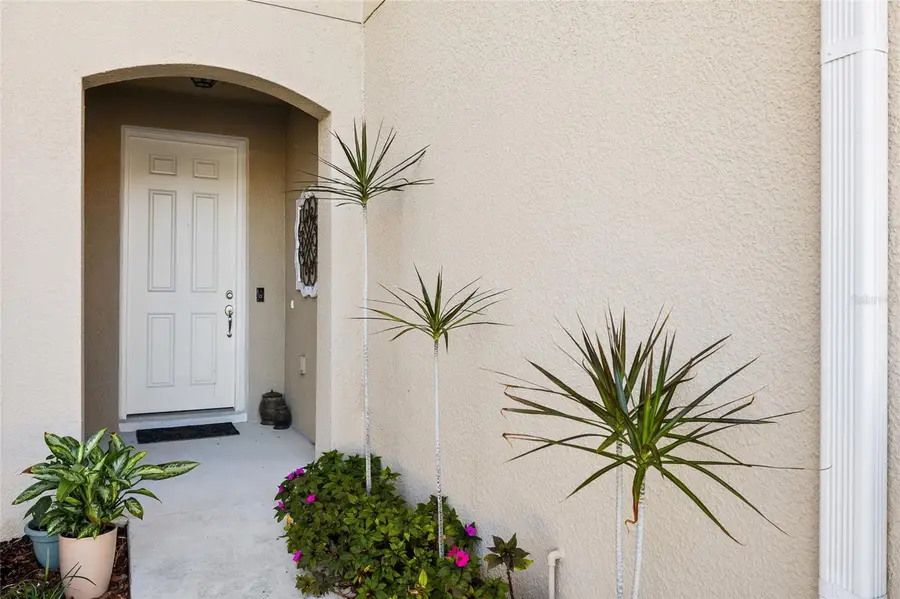 14205 Damselfly Drive, Tampa, FL 33625 - #2