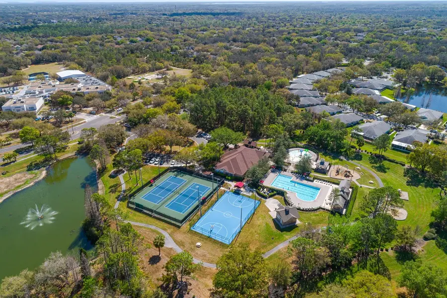 6002 Martinglade Place, Lithia, FL 33547 - #2