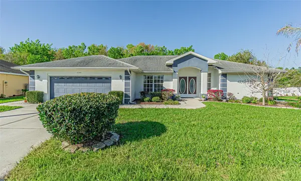 10504 Moshie Lane, SAN ANTONIO, FL 33576