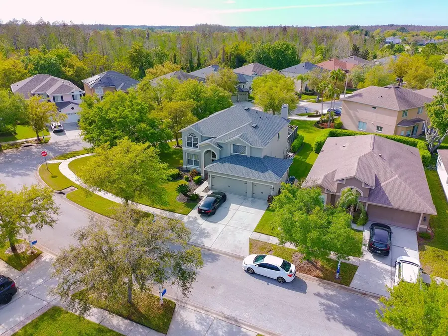 4021 Fishermans Cove Court, Lutz, FL 33558 - #3