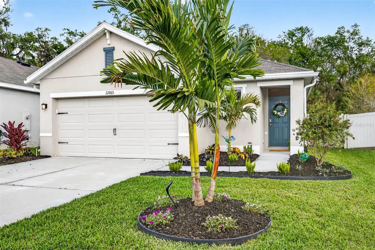 32865 Brooks Hawk Lane, Wesley Chapel, FL 33543 - #1