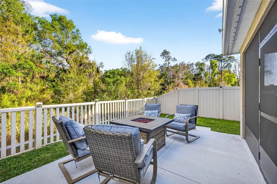 32865 Brooks Hawk Lane, Wesley Chapel, FL 33543 - #3