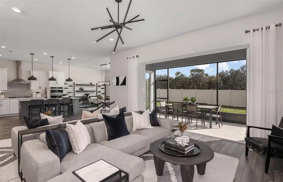 10061 Trellis Vine Way, Parrish, FL 34219 - #3