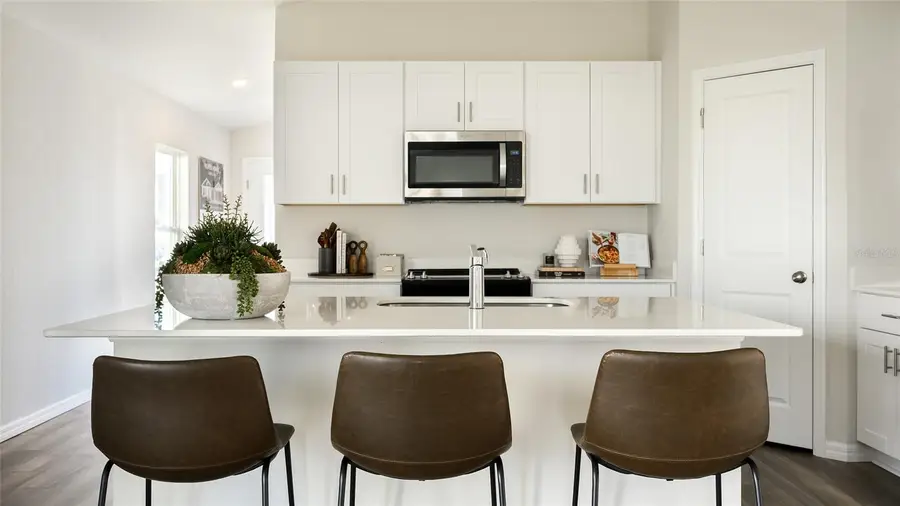 15253 Maude Landing Loop, Wimauma, FL 33598 - #3