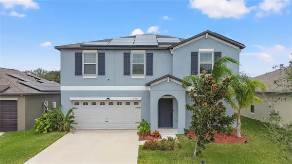 10348 Scarlet Skimmer Drive, RIVERVIEW, FL 33578