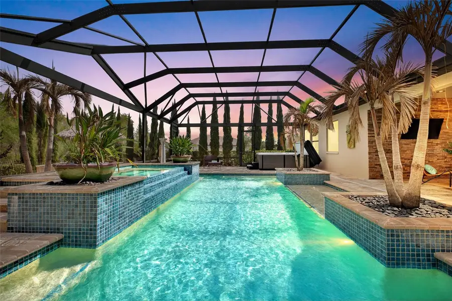 31335 Driscoll Drive, Wesley Chapel, FL 33543 - #2