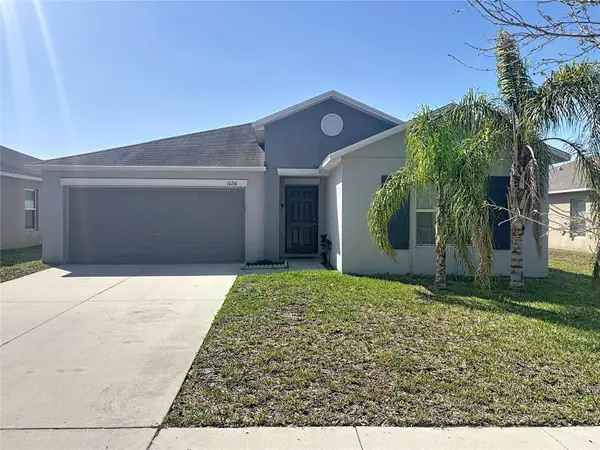 10241 Strawberry Tetra Drive, RIVERVIEW, FL 33578