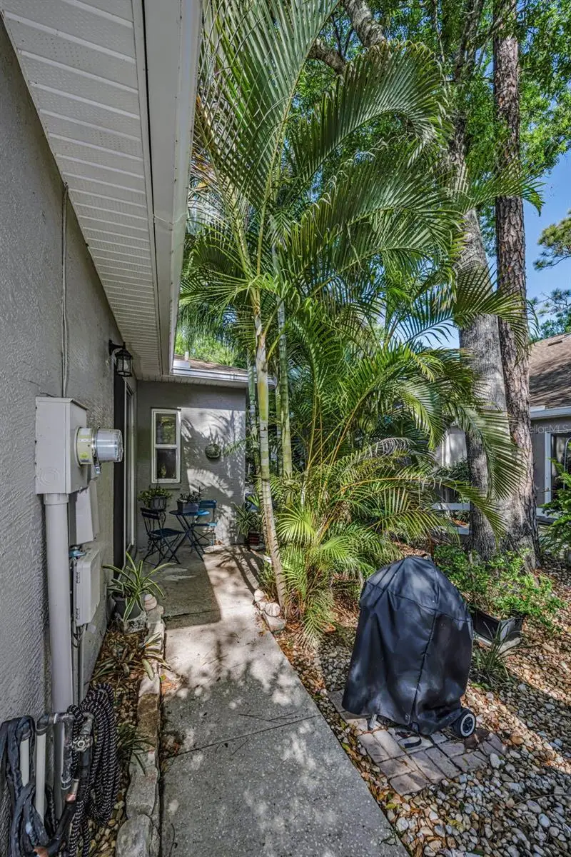 3164 Brooker Creek Way, Palm Harbor, FL 34685 - #3